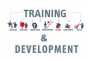 Training To Development